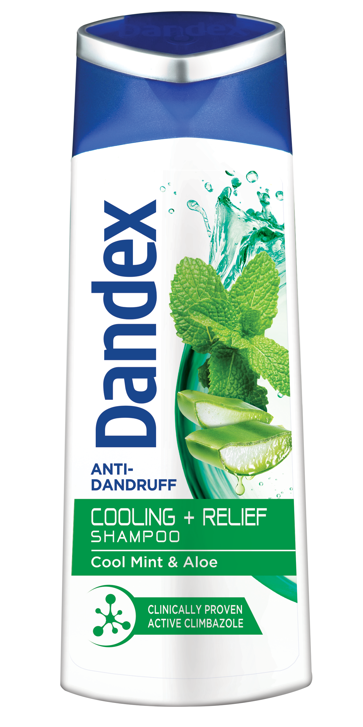 DANDEX COOLING & RELIEF 175ML SHMP-YR22